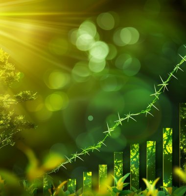 Graphic of green trend arrow and bar chart against a backdrop of trees