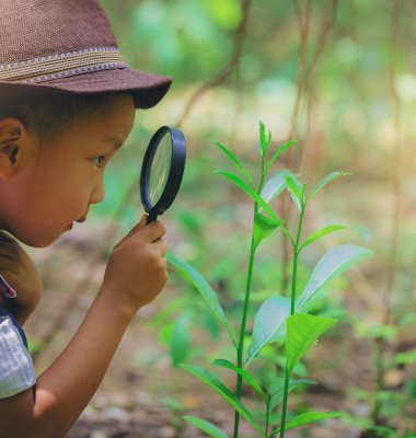 Photograph of school-age child holding a magnifying glass to a growing plant