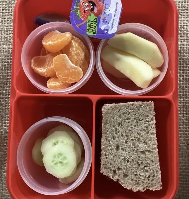 Photograph of pupil's packed lunch containing sandwiches, fruit and yoghurt