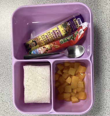 Photograph of pupil's packed lunch containing sandwich, fruit, cheese and yoghurt