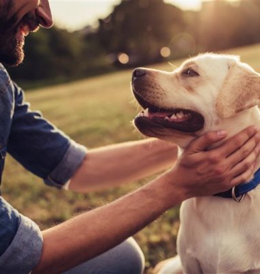 Photograph of a man with his dog in a park