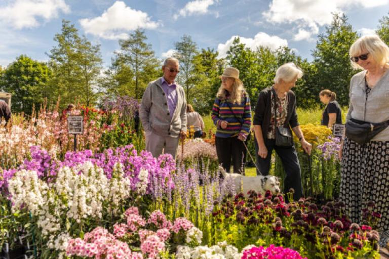 Knowsley flower show.