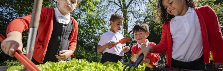 A group of school children gardening outside.
